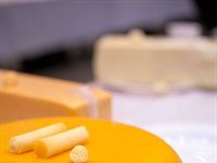 SA Dairy Championships receives 882 entries