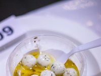 SA Dairy Championships receives 882 entries