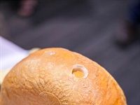 SA Dairy Championships receives 882 entries