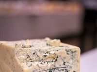 SA Dairy Championships receives 882 entries