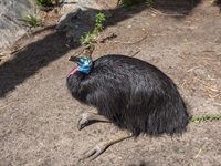 Astral takes World of Birds under its wings