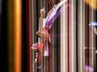 Sipho &quot;Hotstix&quot; Mabuse at the Soweto Theatre