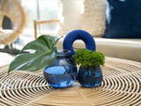 See the launch of Orbit's new sustainable packaging campaign