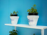 See the launch of Orbit's new sustainable packaging campaign