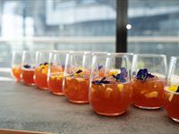 See the launch of Orbit's new sustainable packaging campaign