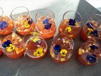 See the launch of Orbit's new sustainable packaging campaign