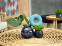 See the launch of Orbit's new sustainable packaging campaign