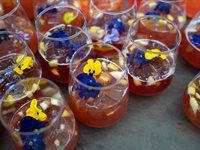 See the launch of Orbit's new sustainable packaging campaign