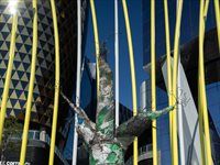 See the launch of Orbit's new sustainable packaging campaign