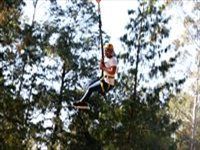 The Drakensberg Experience