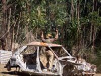 The Drakensberg Experience