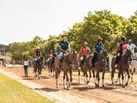 Johnnie Walker hosts first Whisky Meets Polo Masterclass