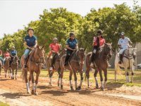 Johnnie Walker hosts first Whisky Meets Polo Masterclass