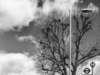 “April is the cruellest month”