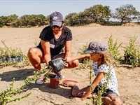 See Great Labyrinth launch by members of Entrepreneurs' Organisation