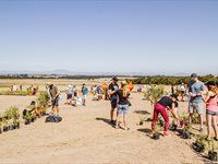 See Great Labyrinth launch by members of Entrepreneurs' Organisation