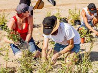 See Great Labyrinth launch by members of Entrepreneurs' Organisation