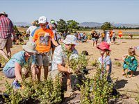 See Great Labyrinth launch by members of Entrepreneurs' Organisation