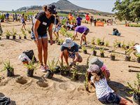 See Great Labyrinth launch by members of Entrepreneurs' Organisation