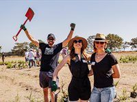 See Great Labyrinth launch by members of Entrepreneurs' Organisation