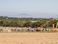 See Great Labyrinth launch by members of Entrepreneurs' Organisation