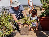See Great Labyrinth launch by members of Entrepreneurs' Organisation