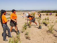 See Great Labyrinth launch by members of Entrepreneurs' Organisation