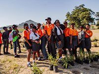 See Great Labyrinth launch by members of Entrepreneurs' Organisation