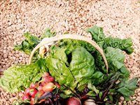 Mhondoro Safari Lodge supports communities in need