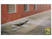 #Loeries2020 - Day one winners