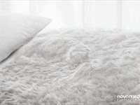 #Loeries2020 - Day five winners