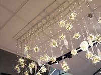 Woolworths - Decorations, visual merchandising