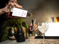 Pioneers of the Present short film launch