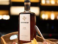 Pioneers of the Present short film launch