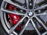 See: The BMW X3 Mzansi Edition