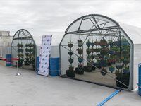 See: Redefine unveils HandPicked CityFarm at Kenilworth Centre