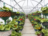 See: Redefine unveils HandPicked CityFarm at Kenilworth Centre