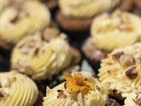 See: Redefine unveils HandPicked CityFarm at Kenilworth Centre