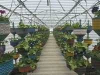 See: Redefine unveils HandPicked CityFarm at Kenilworth Centre