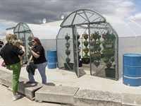 See: Redefine unveils HandPicked CityFarm at Kenilworth Centre