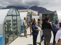 See: Redefine unveils HandPicked CityFarm at Kenilworth Centre