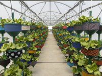 See: Redefine unveils HandPicked CityFarm at Kenilworth Centre