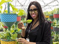 See: Redefine unveils HandPicked CityFarm at Kenilworth Centre