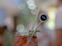 See: Alpha Industries opens its first store in South Africa