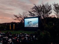 See: Wavescape Surf and Ocean Festival Film Screening at Kirstenbosch Galileo Open Air Theatre
