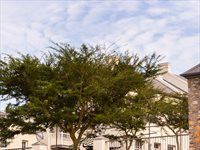 See: Volkswagen Polo Vivo GT gets a new look