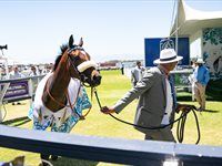 See: L'Ormarins King's Plate returns to Cape Town
