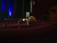 #CannesLions2024: Day 3