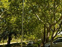 See: Telkom launches smart agritech initiative for wine industry innovation