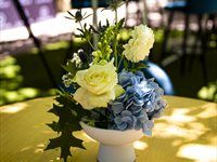 See: Telkom launches smart agritech initiative for wine industry innovation